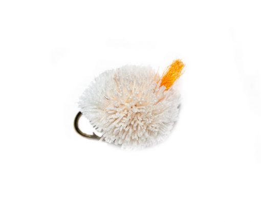 Orange Hot Spot White Dog Biscuit