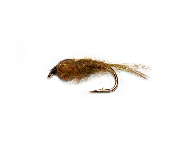 Pond Olive Brown Nymph - Image 2