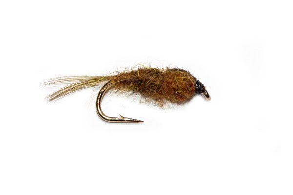 Pond Olive Brown Nymph