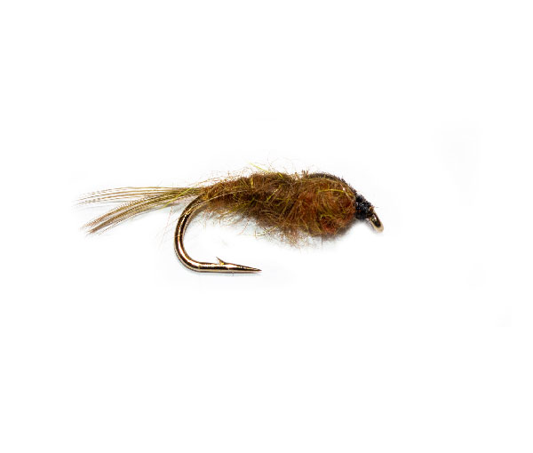 Pond Olive Brown Nymph