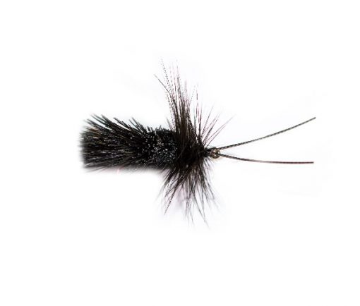 Before Midnight caddis UV Belly - Image 2