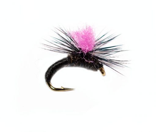 Black Klinkhammer Pink Hot Spot