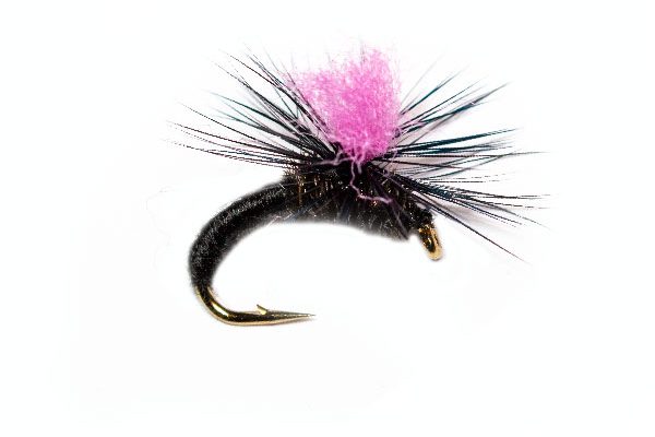 Black Klinkhammer Pink Hot Spot