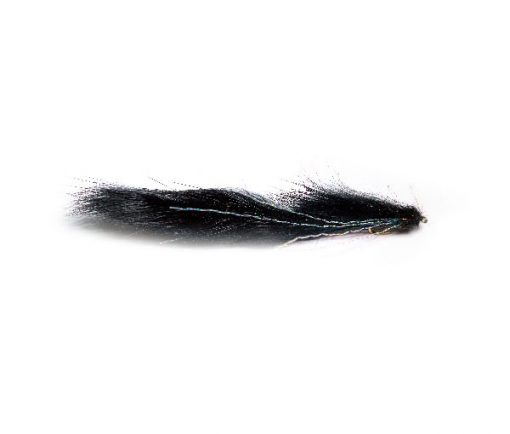 Black Sparkle Undertaker Snake - Image 3
