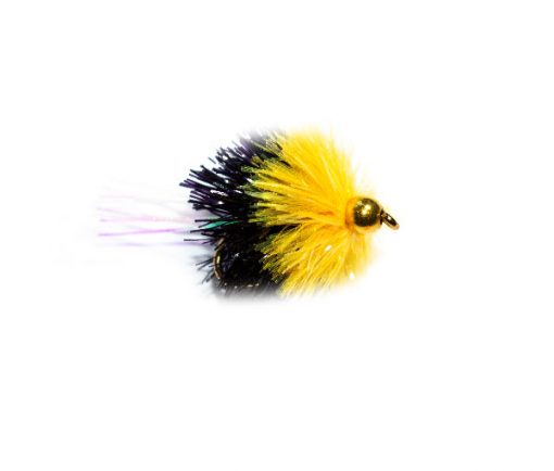 Fish Fishing Flies Black and Yellow Goldhead Shimmer Blob
