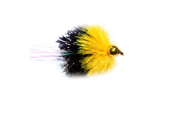 Fish Fishing Flies Black and Yellow Goldhead Shimmer Blob