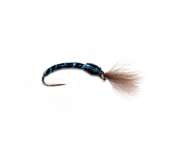 Blue Crisp Packet Epoxy CDC Buzzer