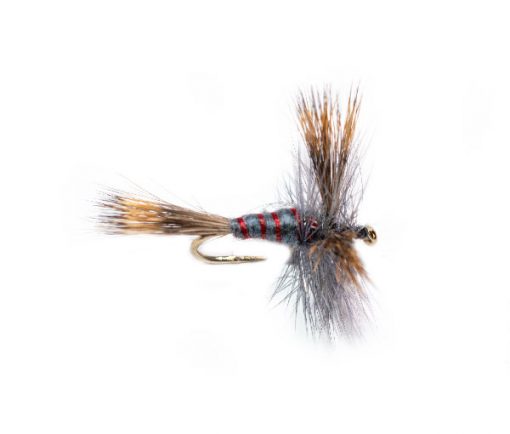 Grey Wulff Varient - Image 2