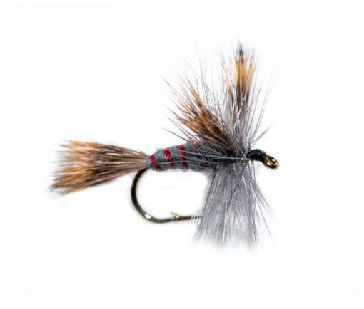 Grey Wulff Varient Trout Fishing Fly