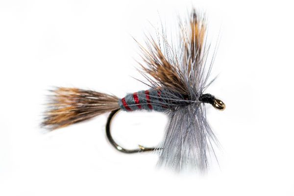 Grey Wulff Varient Trout Fishing Fly