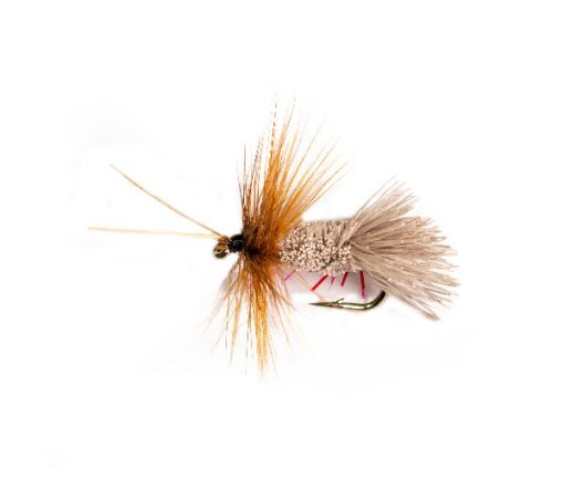 Horned Goddard Caddis Sedge UV Belly - Image 3