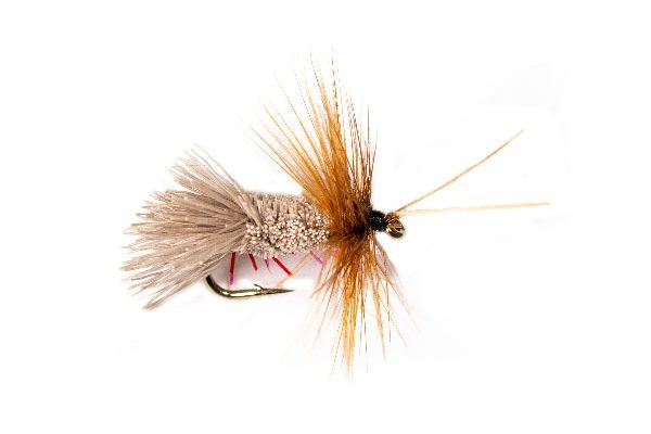 Fishing Flies