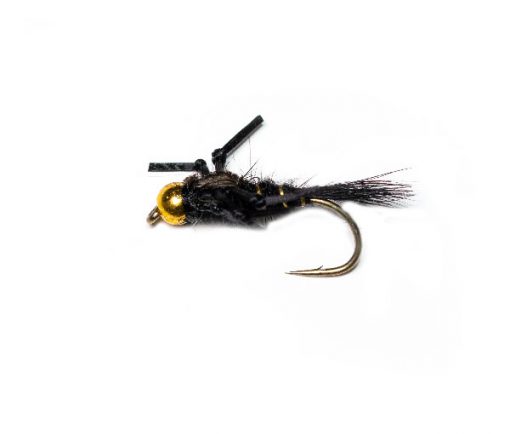 Kicking Leggy Black Living Nymph - Image 2