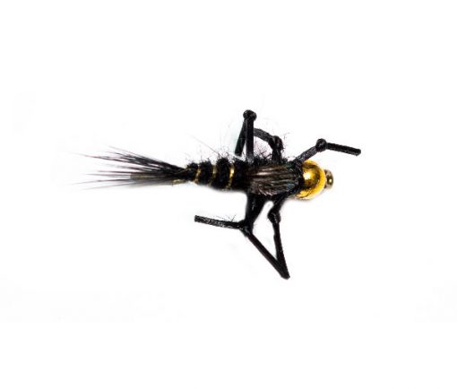 Kicking Leggy Black Living Nymph - Image 3