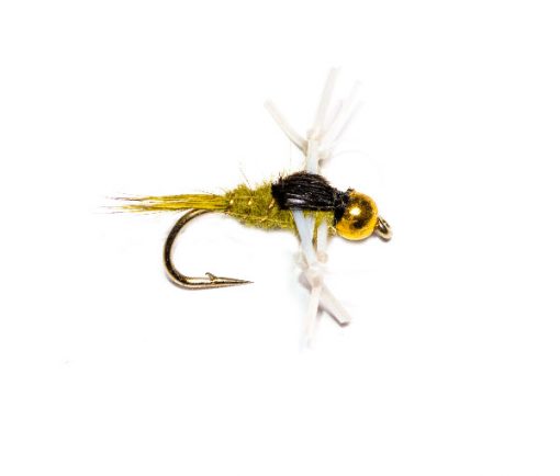 Kicking Leggy Olive Nymph