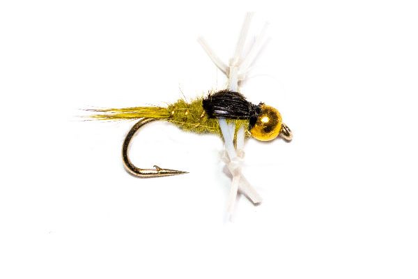 Kicking Leggy Olive Nymph