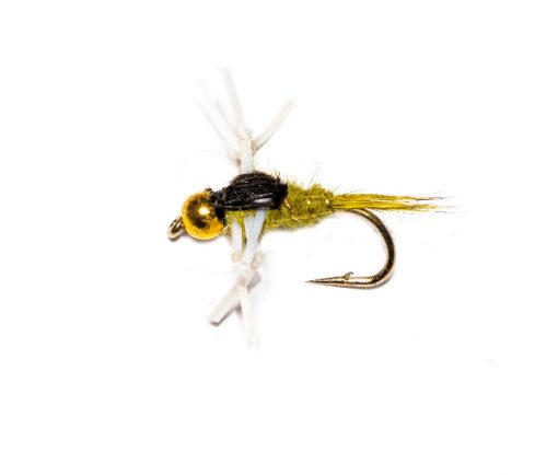 Kicking Leggy Olive Nymph - Image 4