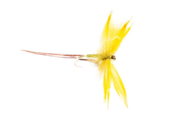 Mayfly Olive Drake Fishing Fly