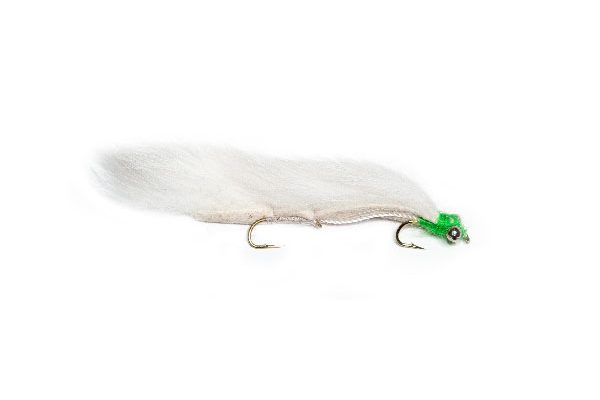 Fish Fishing Flies Never Fails Cat Snake