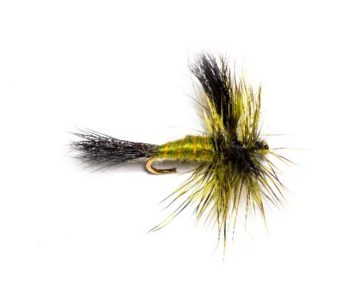 Olive Body Drake - Image 2