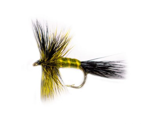 Olive Body Drake - Image 3