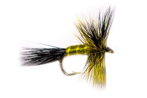 Olive Body Drake Fishing Fly