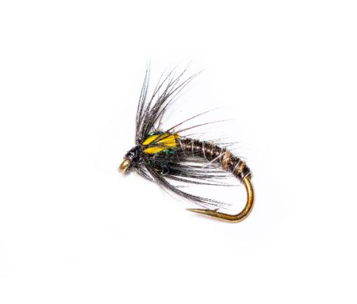 Quill Olive and Black Spider - Image 3