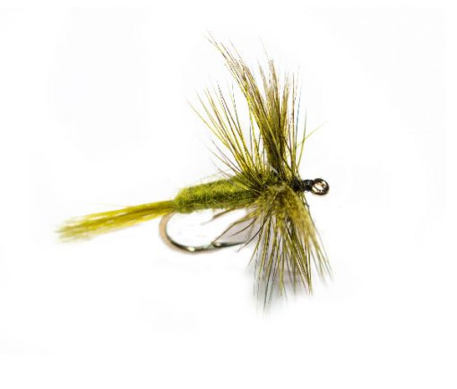 Trout Fishing Fly Rough Olive Wulff