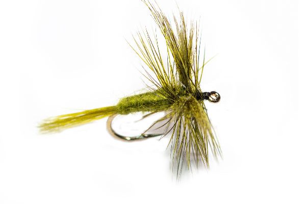 Trout Fishing Fly Rough Olive Wulff