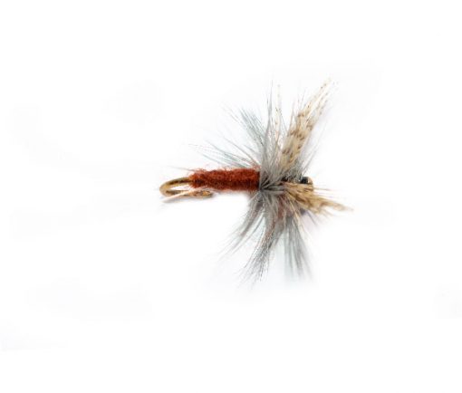 Rust Body Thorax Dry Fly - Image 2