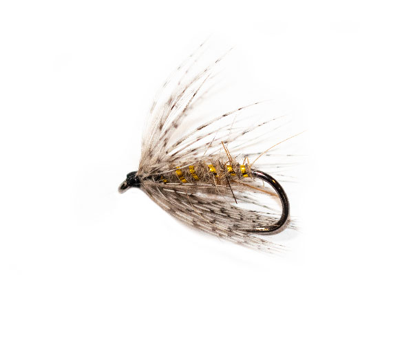 Spider Hares Ear and Partridge - Image 4