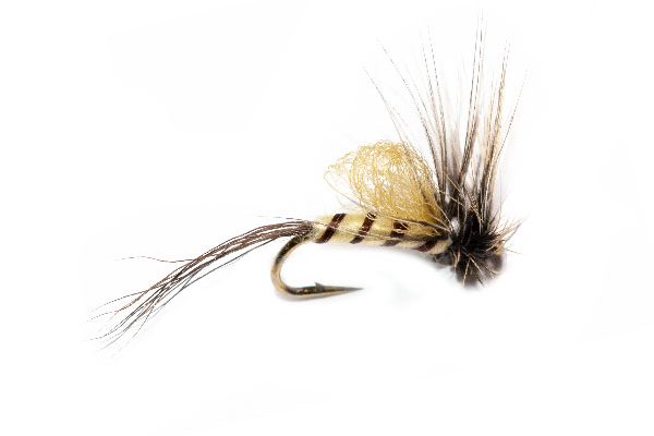 Teds Loopwing Mayfly Fishing Fly
