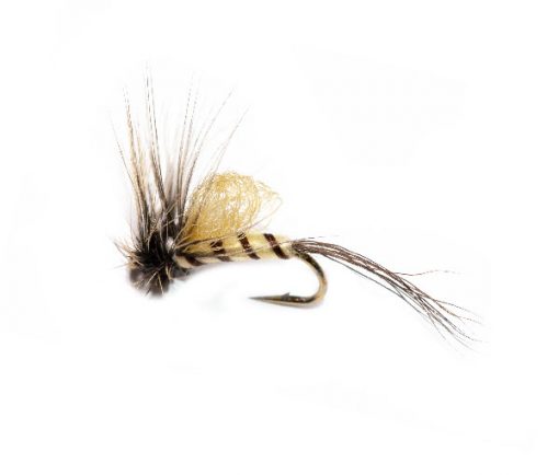 Teds Loopwing Mayfly fish fishing flies brand Quality Fishing Fly