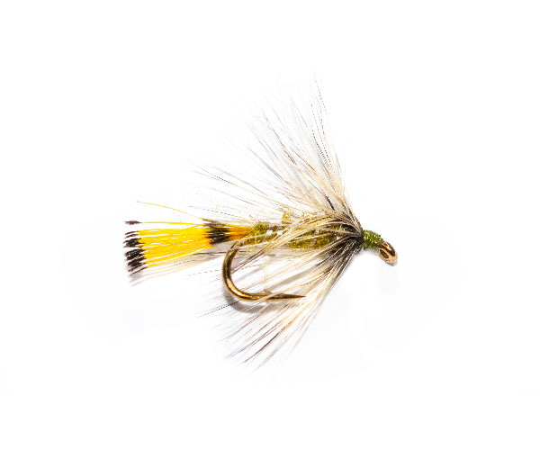 Badger Pennell Wet Fly pattern Fish Fishing Flies Trout Fishing Flies