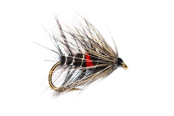 Bibio White Hackle Wet Fly