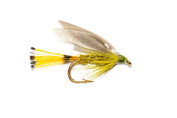 Blue Wing Sooty Olive Wet Fly