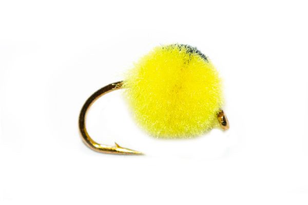Bright Yellow Egg Black Eye Hotspot