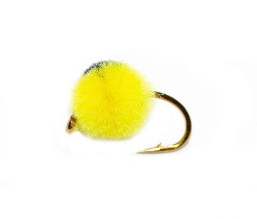 Bright Yellow Egg Black Eye Hotspot - Image 3