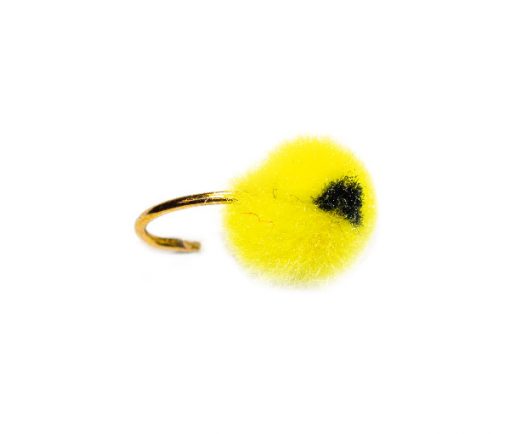 Bright Yellow Egg Black Eye Hotspot - Image 4