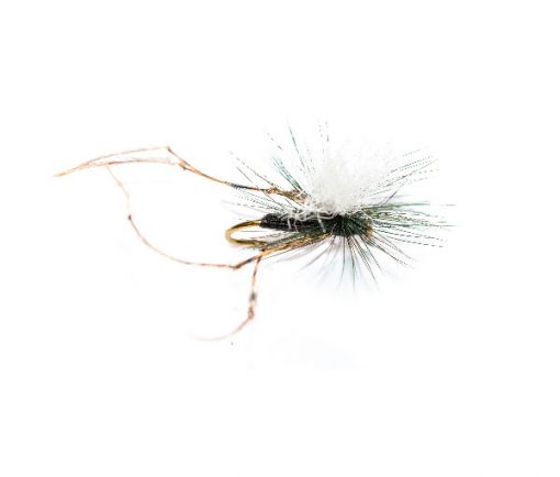 Daddy Long Legs Black Parachute White Hotspot - Image 4