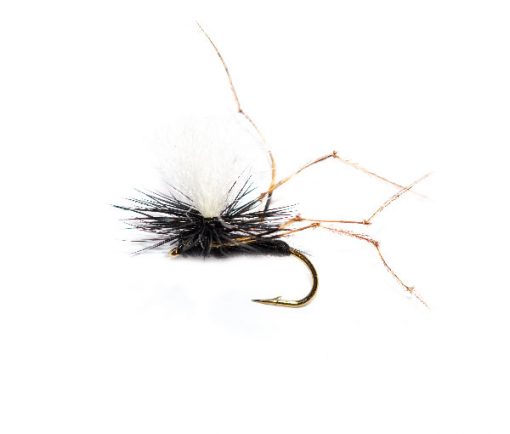 Daddy Long Legs Black Parachute White Hotspot - Image 3