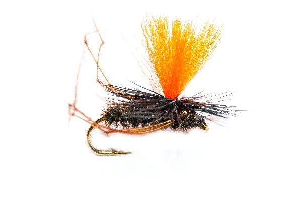 Daddy Long Legs Peacock Body Parachute Orange Hotspot