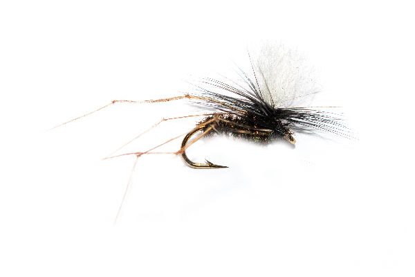 Daddy Long Legs Peacock Parachute White Hotspot