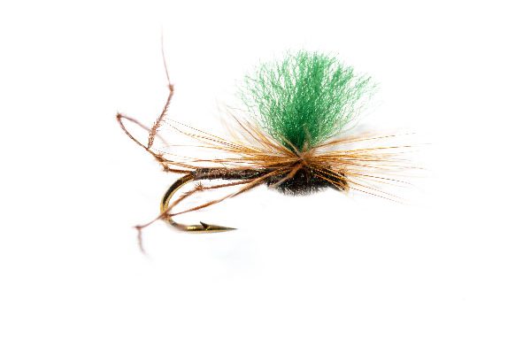 Daddy Long Legs Quill Parachute Green Hotspot