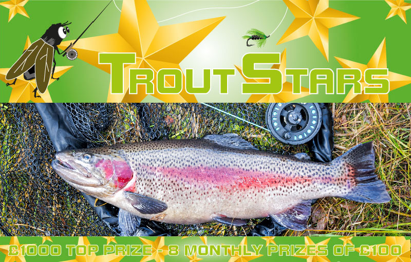 Fly Fishing Competition Trout Stars