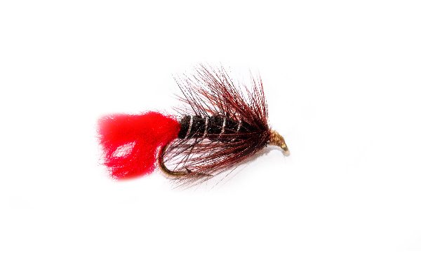 Claret Hackle Murder Zulu Fishing Flies