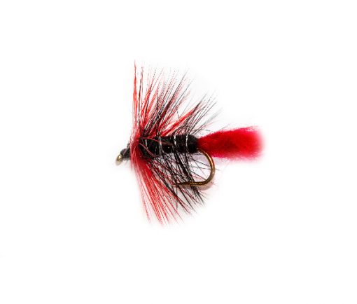 Red Blood Zulu Warrior - Image 2