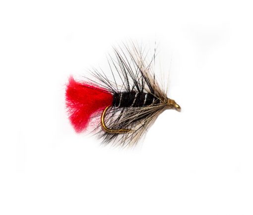 Zulu Ghost Wet Fishing Flies