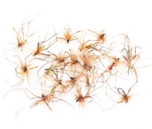 ultimate daddy long legs