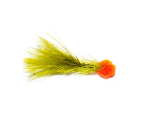 Hatching Orange Hot Head Blue Flash Damsel - Image 4